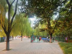 -莲花池公园