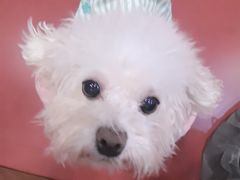 -和它·交个朋友·狗咖猫咖(爱琴海店)