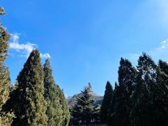 -龙口南山旅游景区