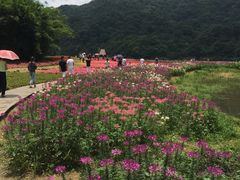 -广州市石门国家森林公园