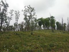 -白鹭湾湿地公园