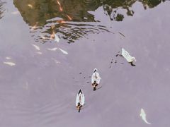 -晓港公园