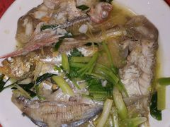 -深运潮州粥(东门店)