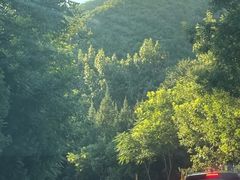 -北京水岸山吧度假村(雁栖镇店)