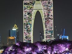 -金鸡湖桃花岛