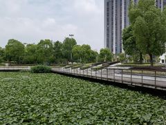-南翔镇银翔湖公园