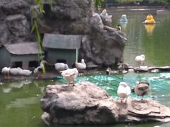 -团结湖公园