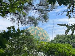 -广州市白云山风景名胜区