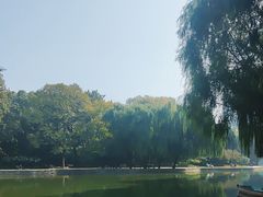 -团结湖公园
