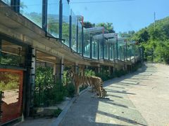 -大连森林动物园