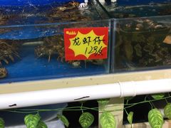 水产区-黄寺蒸汽海鲜(黄寺大街店)