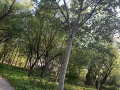 -森林公园(尖草坪区)