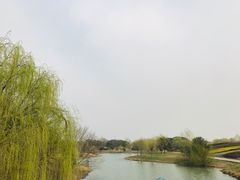 -梁鸿国家湿地公园