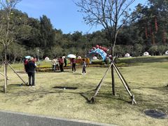 -野狸岛
