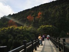 -九龙潭景区