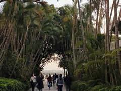 -白城沙滩