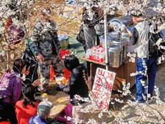 -广州市流溪河国家森林公园