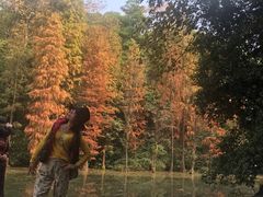 -云溪植物园
