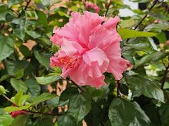 -京津佛罗伦萨小镇