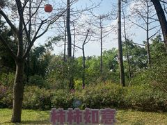 -云溪植物园