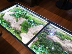 -小堂宴·老厦门码头小炒(厦大店)