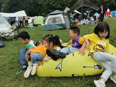 -武陵山森林公园