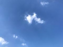 -锦江之星(上海漕河泾星中路地铁站店)