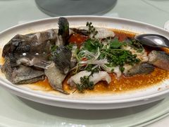 -千灯盛汇·头牌粤菜(致越优城店)