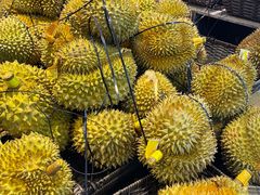 -盒马鲜生(大成店)