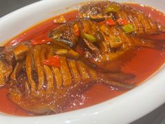 -大连湾旭日·家宴·海肠捞饭(马栏广场店)