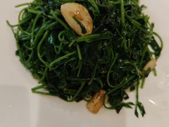 -九福楼大酒店