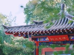 -趵突泉景区