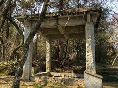 -千岛湖东南湖区