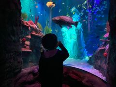 -沈阳海洋探索中心