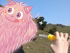 -大姆山草场