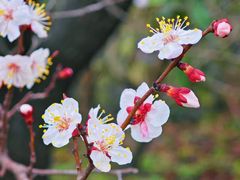 -同里国家湿地公园