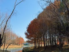 -尚贤河湿地