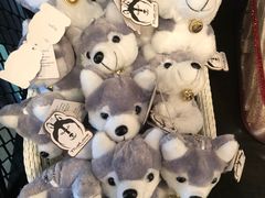 -TrueLove @ Neverland (Husky Cafe)