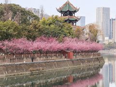 -望江楼公园