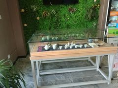 -上海佘山国家森林公园东门地面停车场