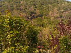 android_upload_pic-蒙山大佛景区