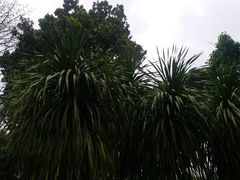 -东风公园