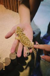 -酷嗒动物文化乐园(cutezoo西溪乐天城店)