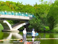 -上海长兴岛郊野公园