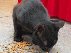 -茂陵博物馆