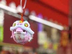 -越秀西湖花市(广州城市广场花卉店)