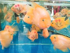 -长春农博园