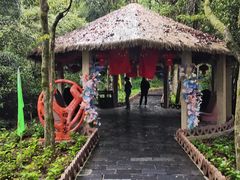 -黄山翡翠谷景区