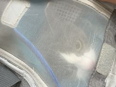 -半岛宠物医院24小时(西派城店)