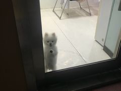 -全心全意连锁动物医院(加州店)
